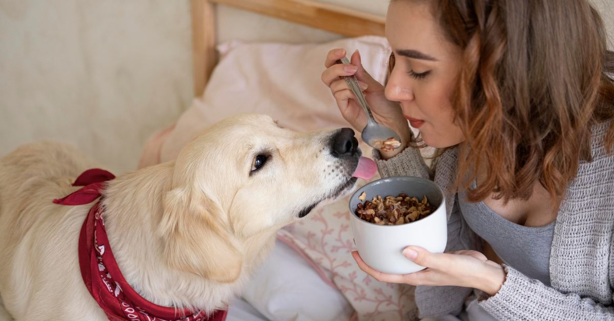 Benefits of Chicken Meal in Dog Food