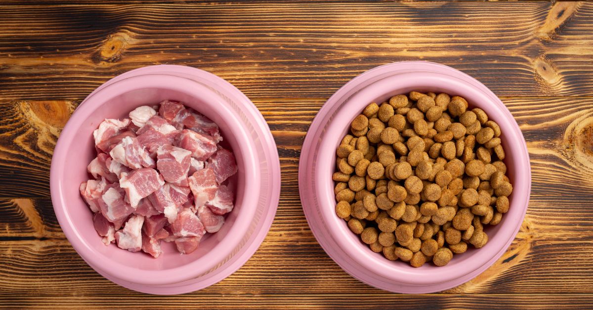 Chicken Meal vs. Chicken in Dog Food