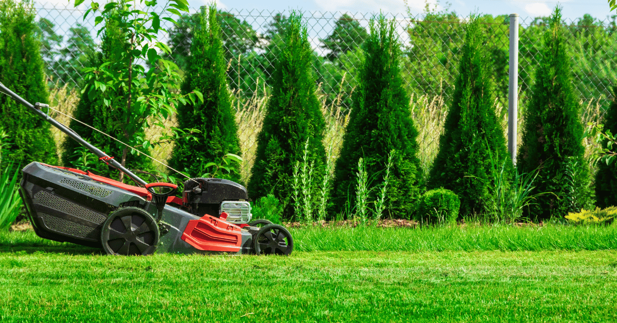 Is It Illegal to Mow Lawns for Money